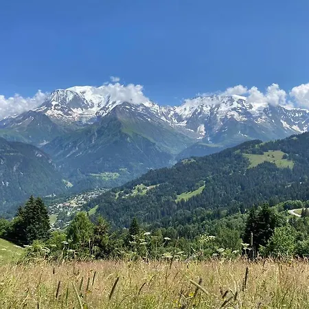 Le Grand Panorama - With Garden & View Apartment *